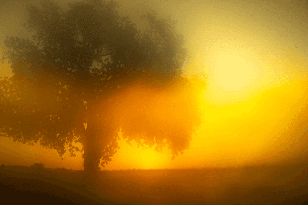 Todd Hido, ‘#12076-9421 ’, 2020, Photography, Archival pigment print, null, Dated