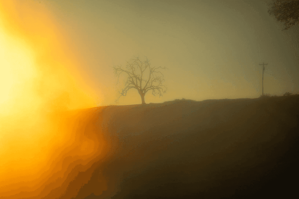 Todd Hido, ‘12076-9547’, 2020, Photography, Inkjet pigment print, null, 