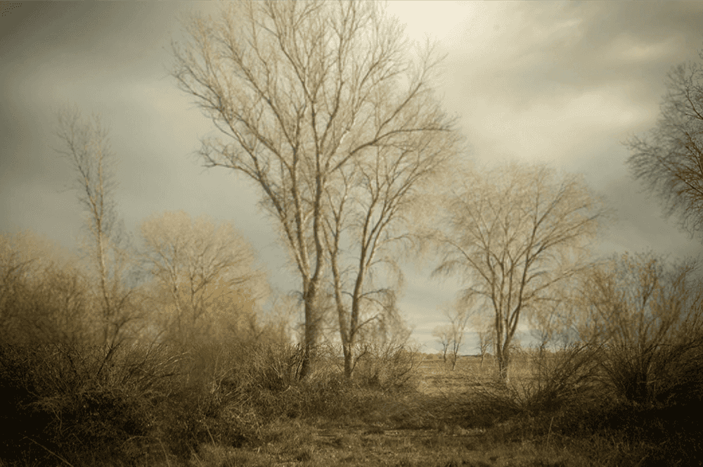 Todd Hido, ‘#12161-1598’, 2023, Photography, Archival pigment print, null, Dated