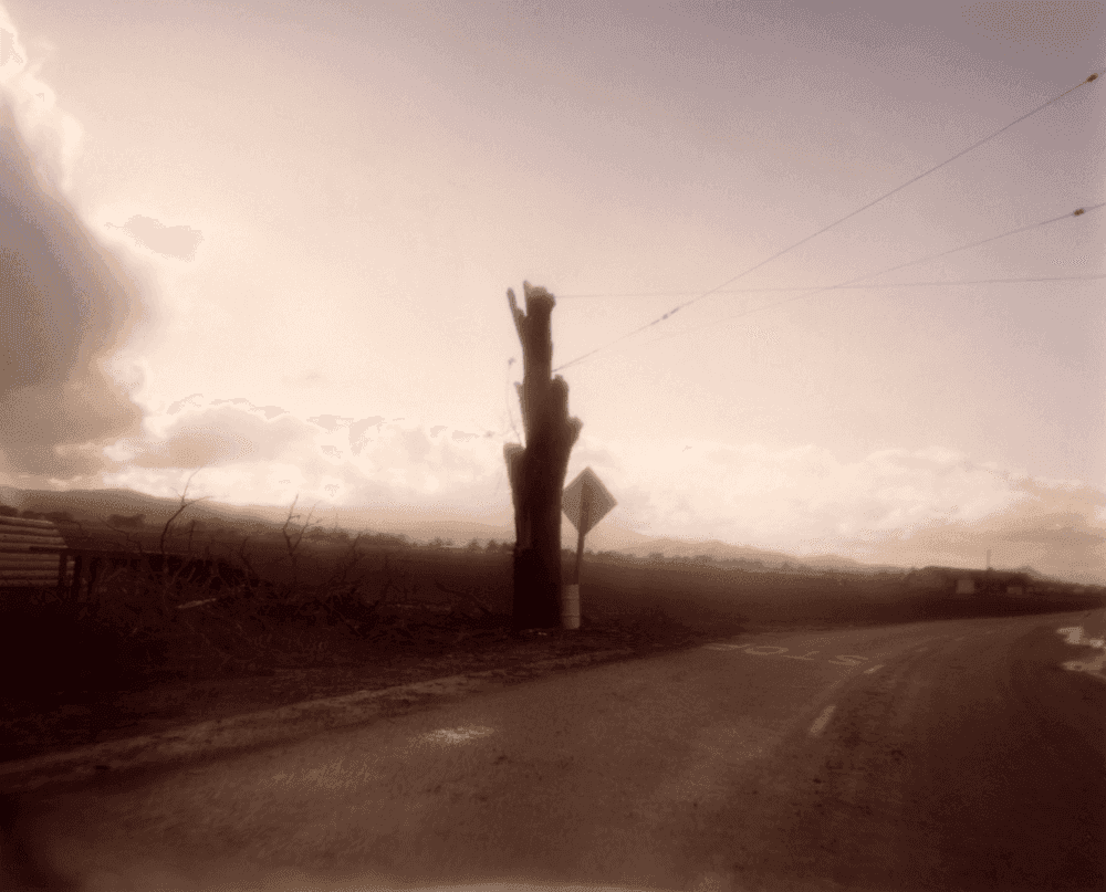 Todd Hido, ‘1609-a’, 1996, Photography, Archival Pigment Print., null, Numbered, Dated