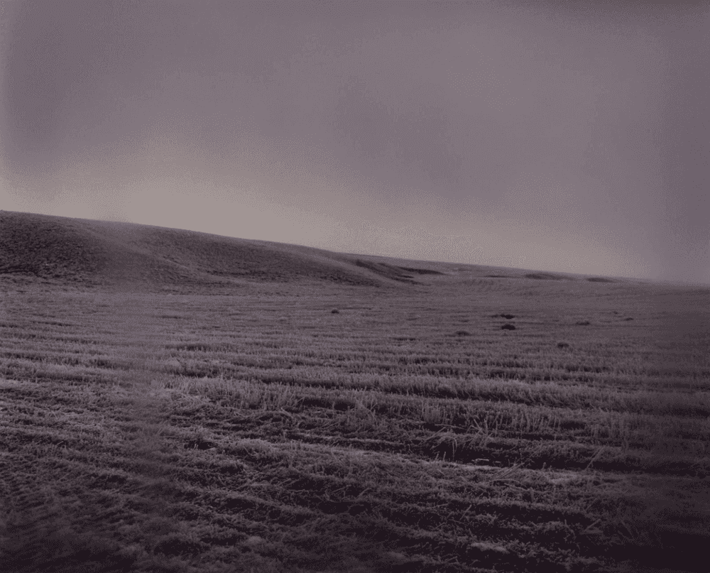 Todd Hido, ‘5105’, 2006, Photography, Archival Pigment Print., null, Numbered, Dated