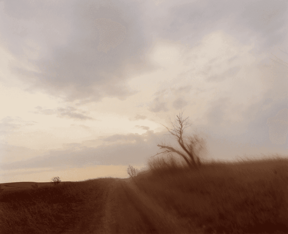 Todd Hido, ‘5484’, 2006, Photography, Archival Pigment Print., null, Numbered, Dated