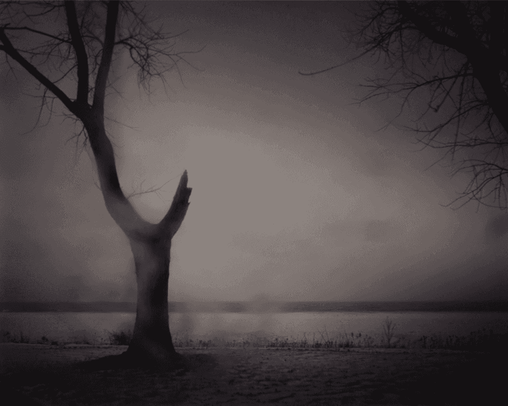 Todd Hido, ‘Untitled #10101’, 2011, Photography, Digital Pigment Print, null, 