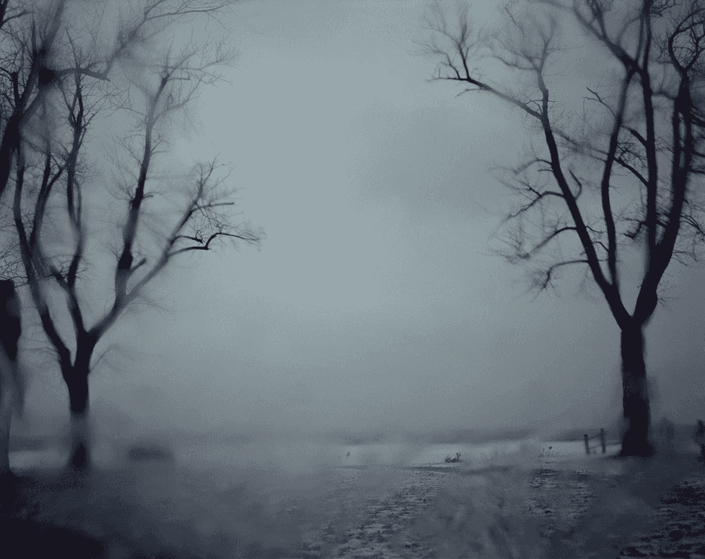 Todd Hido, ‘Untitled 10104’, 2011, Photography, Archival Pigment Print, null, 
