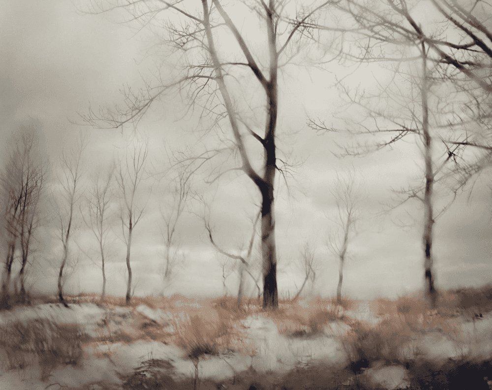 Todd Hido, ‘Untitled 10132’, 2011, Photography, Archival Pigment Print, null, 