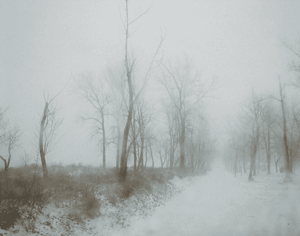 Todd Hido, ‘Untitled #11188-06’, 2014, Photography, Archival pigment print, null, 