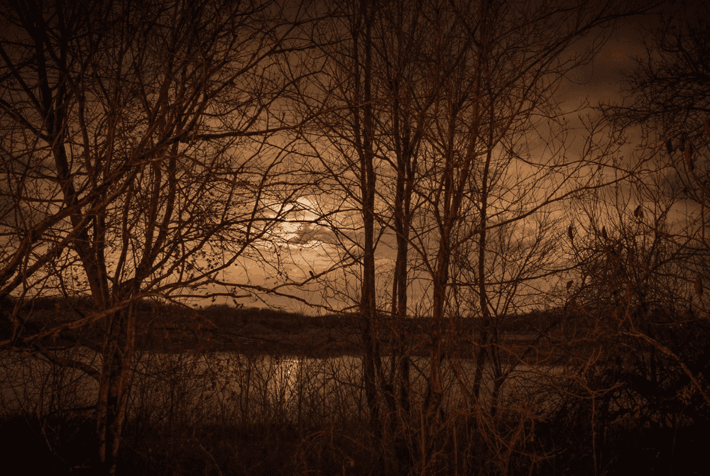 Todd Hido, ‘Untitled (#11599 - 5811)’, 2014, Photography, C-print, null, 