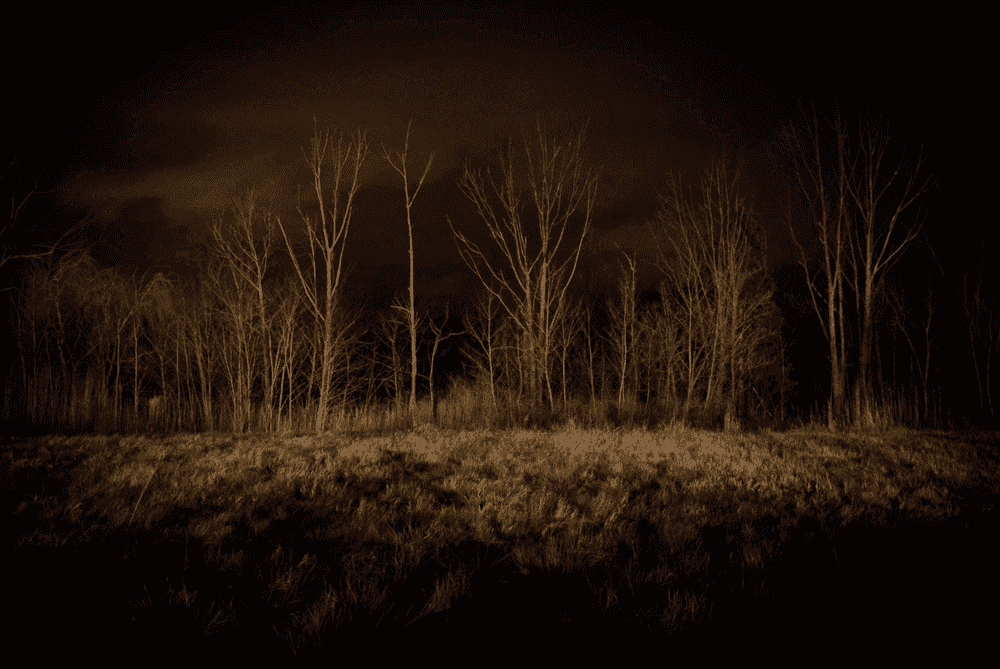 Todd Hido, ‘Untitled #11666-2425’, 2017, Photography, Digital Pigment Print, null, 