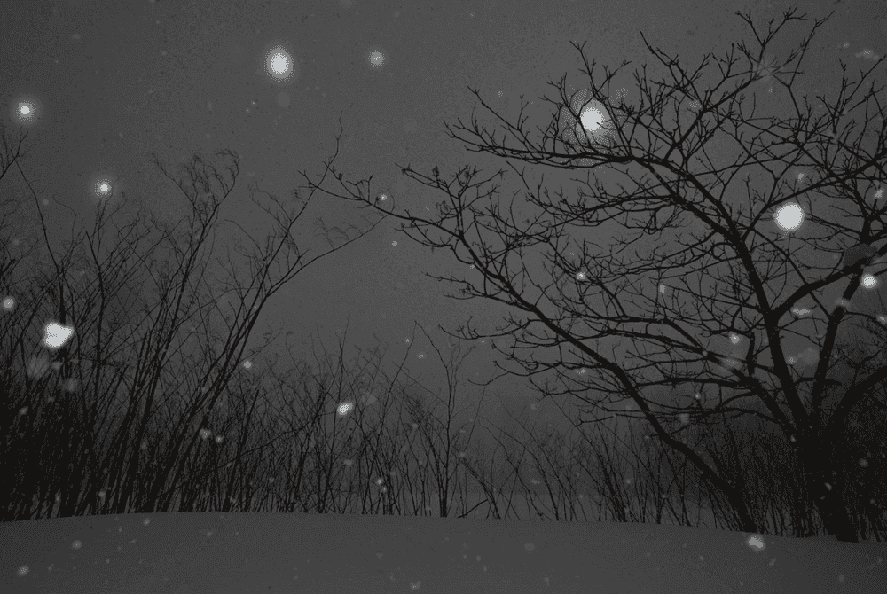 Todd Hido, ‘Untitled #11682-5547’, 2016, Photography, Digital Pigment Print, null, 