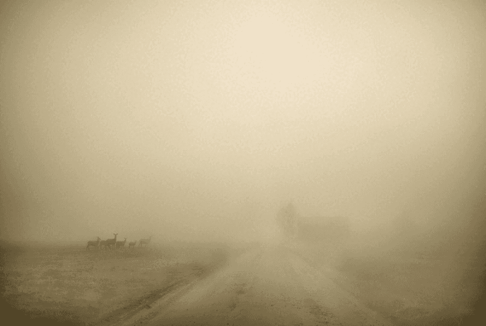 Todd Hido, ‘Untitled #11798-3574’, 2018, Photography, Archival inkjet print, null, 