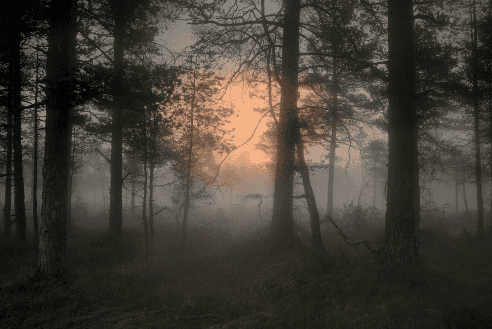 Todd Hido, ‘Untitled (#11798 - 3868)’, 2017, Photography, C-print, null, 