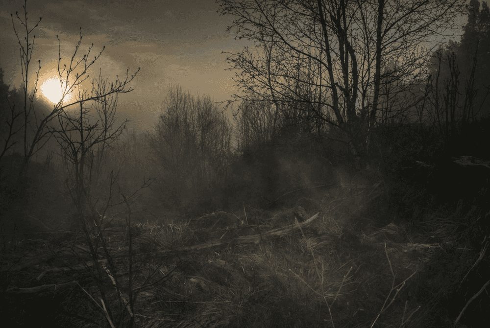 Todd Hido, ‘Untitled #11798-4172’, 2018, Photography, Archival inkjet print, null, 
