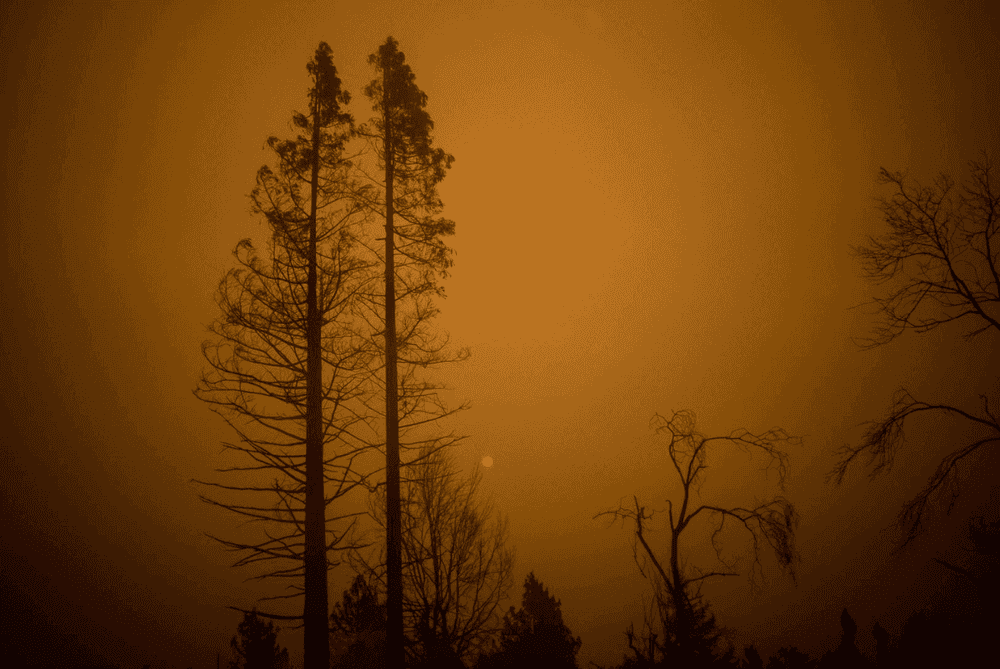 Todd Hido, ‘Untitled #11836-8736’, 2018, Photography, Digital pigment print, null, 