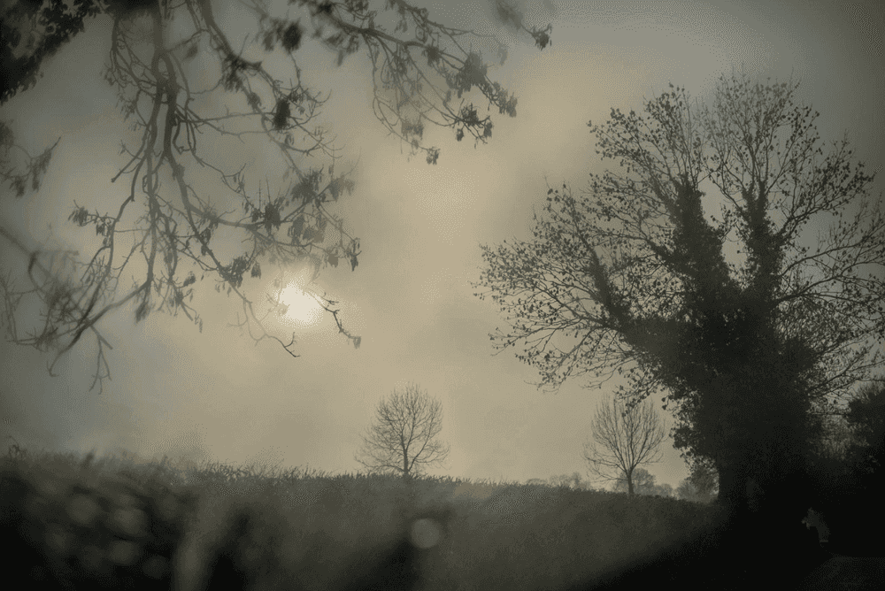 Todd Hido, ‘Untitled #11927-6081’, 2020, Photography, Digital Pigment Print, null, 