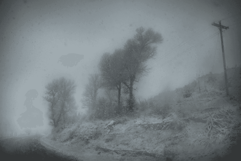 Todd Hido, ‘Untitled #11946-9910’, 2019, Photography, Digital Pigment Print, null, 