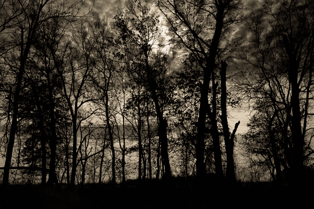 Todd Hido, ‘Untitled #12077-0184’, 2022, Photography, Digital pigment print, null, 