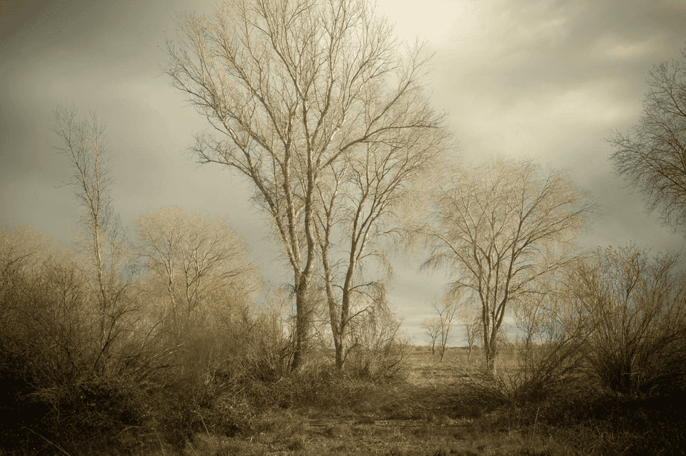 Todd Hido, ‘Untitled #12161-1598’, 2023, Photography, Digital pigment print, null, 
