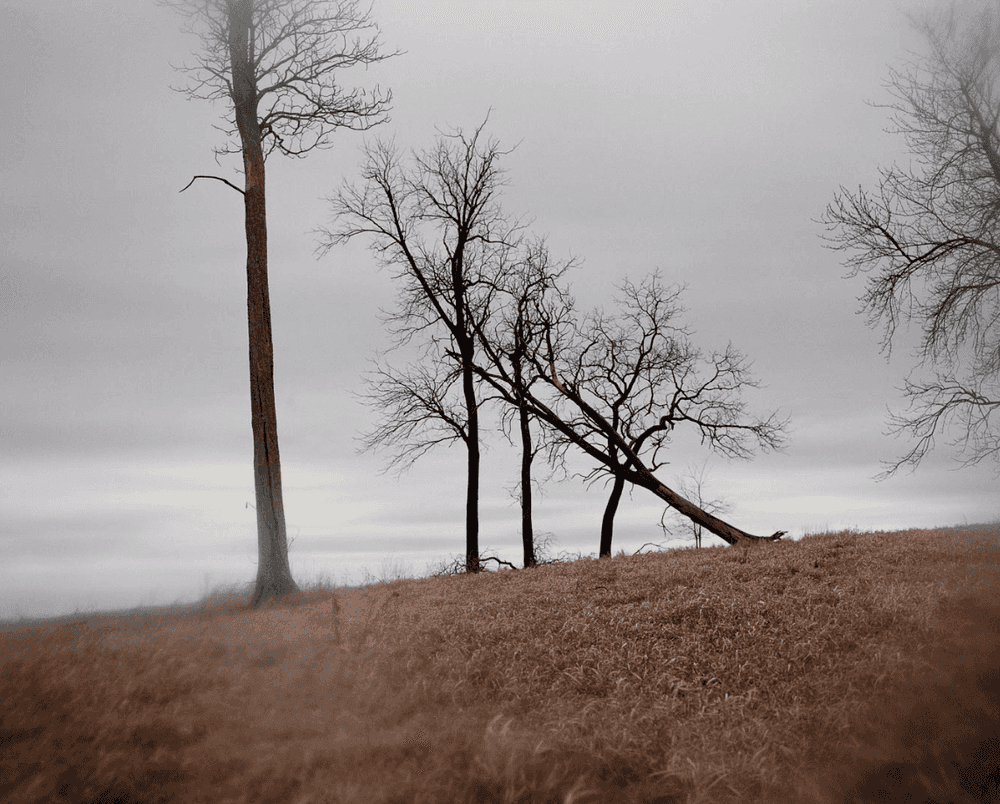 Todd Hido, ‘Untitled #6349-DMF’, 2007, Photography, Digital pigment print, null, 