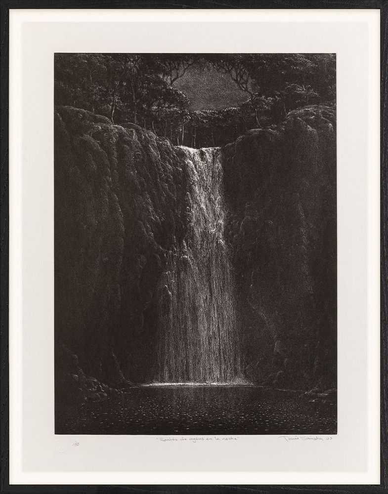 Tomas Sanchez, ‘Sonido de Agues En La Noche’, 22-02-2022, Print, Aquatint etching with intaglio technique, Avant Arte, Numbered, Dated, Framed
