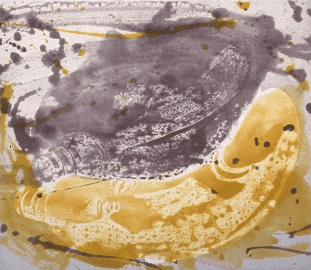 Tony Cragg, ‘Fruit Juice Bottles IV, State I’, 1990, Print, Color aquatint with spit bite aquatint, Crown Point Press, 