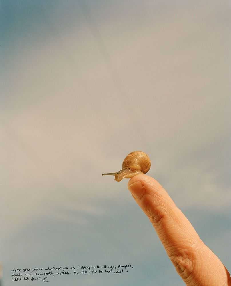 Vikram Kushwah, ‘All Creatures Great and Small (Large)’, 2024, Print, Hahnemühle Photorag fine art cotton paper., null, Numbered