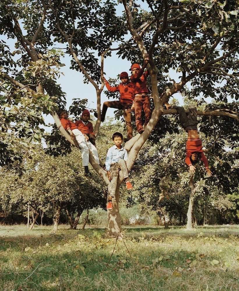Vikram Kushwah, ‘Children in a Tree - 04 (Medium)’, 2022, Print, Hahnemühle Photorag fine art cotton paper., null, Numbered