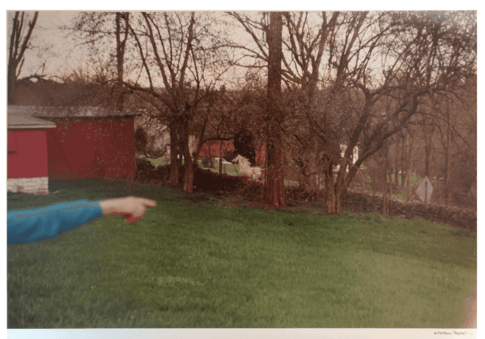 William Eggleston, ‘Kentucky’, 1983, Print, Fuji-colour crystal archive print, null, Numbered