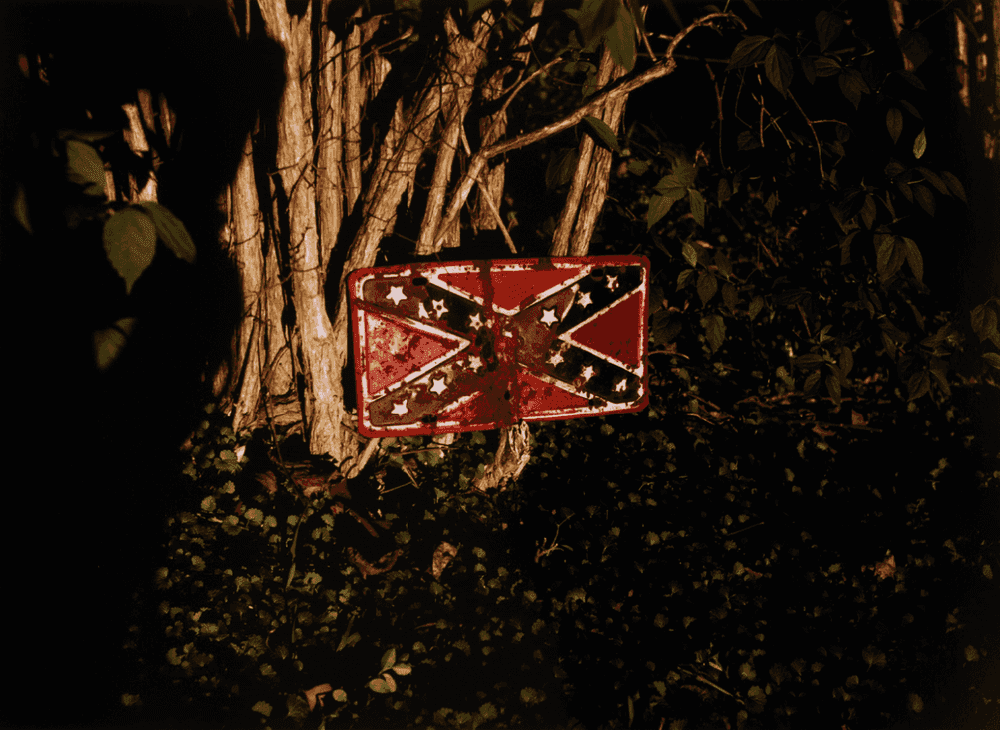 William Eggleston, ‘Rebel Flag License Plate on Tree’, 1973, Print, Dye Transfer Print, null, Dated