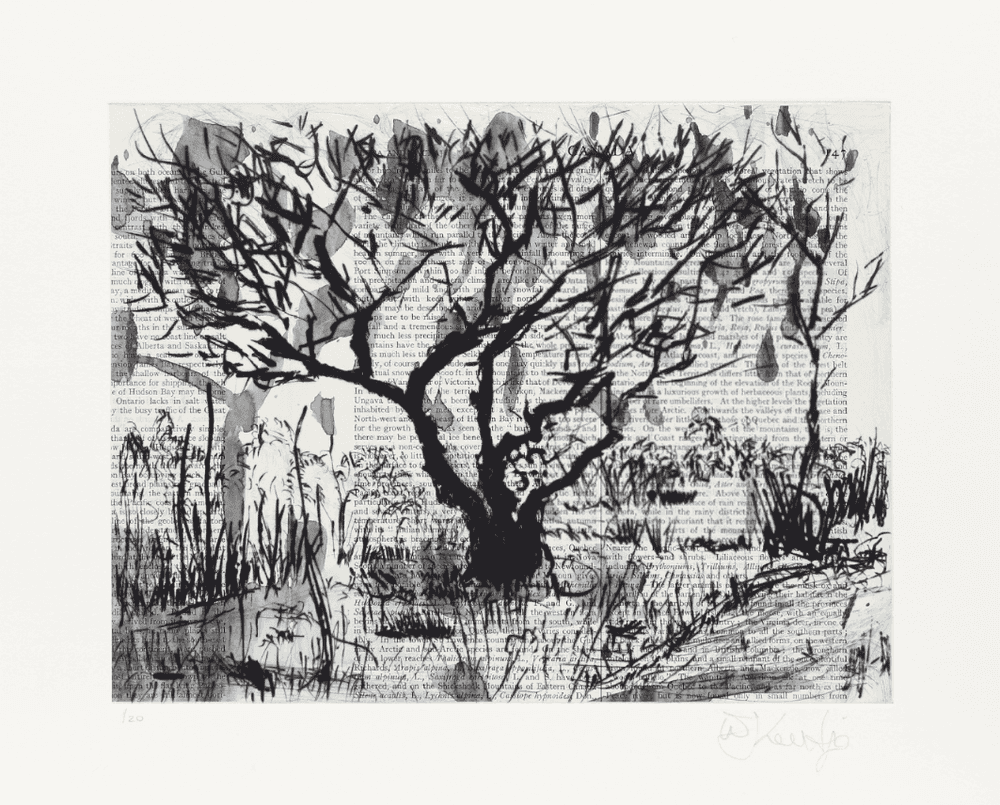 William Kentridge, ‘Tree (Century Dictionary)’, 2023, Print, Drypoint and hand-painting on non-archival paper from The Century Dictionary, Vol. I (1914) and adhered to Hahnemühle paper, null, Numbered
