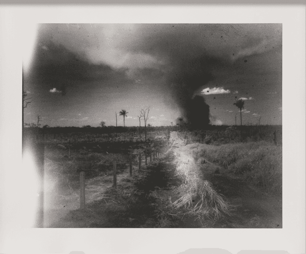 Richard Mosse, ‘Primary Forest Fire, Amazonas’, 2020, Photography, Analogue silver gelatin print with gold toning, null, 