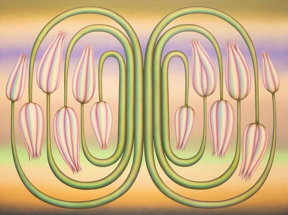 Molly Greene, ‘Insinuator’, 2021, Print, Archival Pigment Print, null, Numbered, Framed