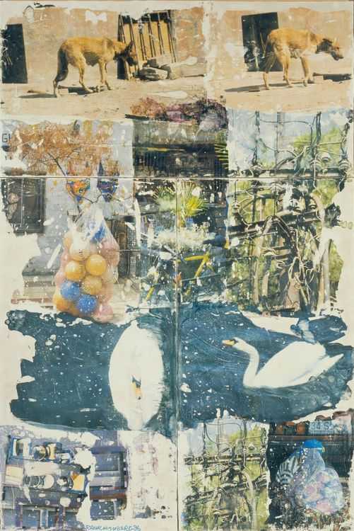 Article cover image