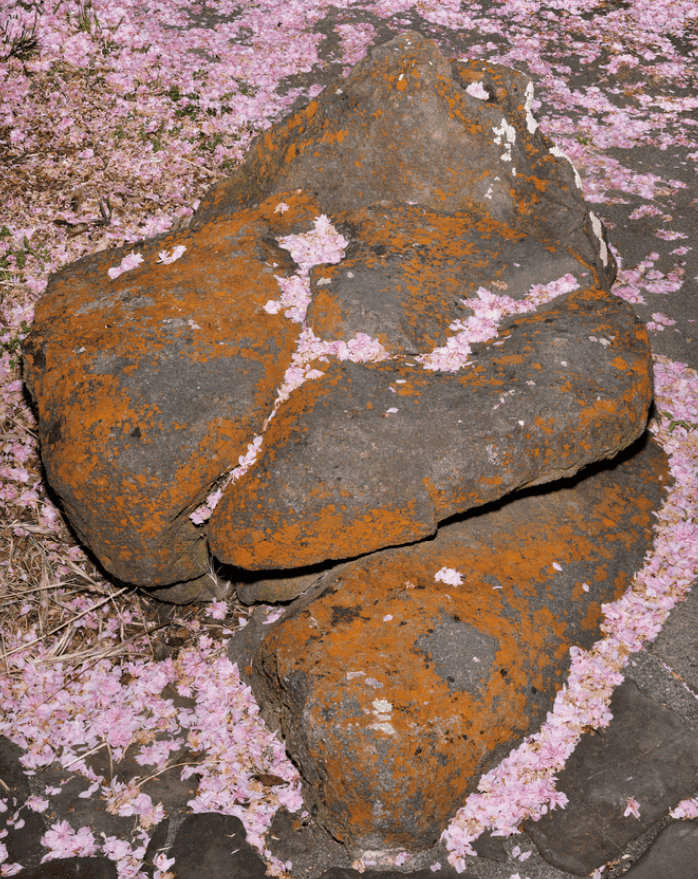 Artwork - Garden II