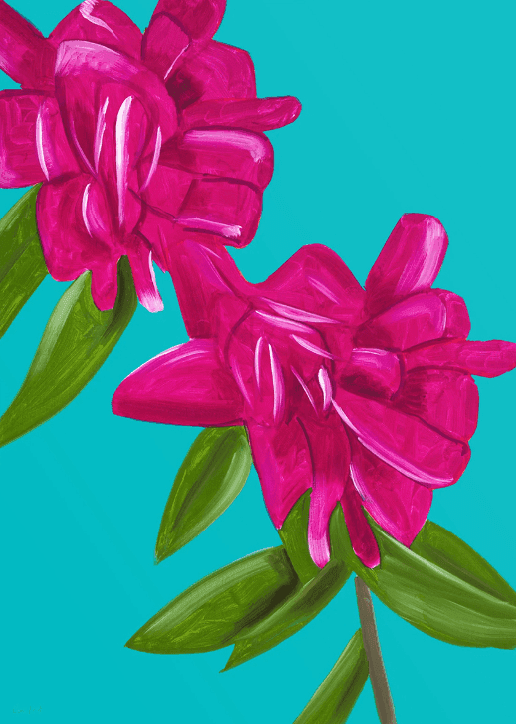 Artwork - Peonies 