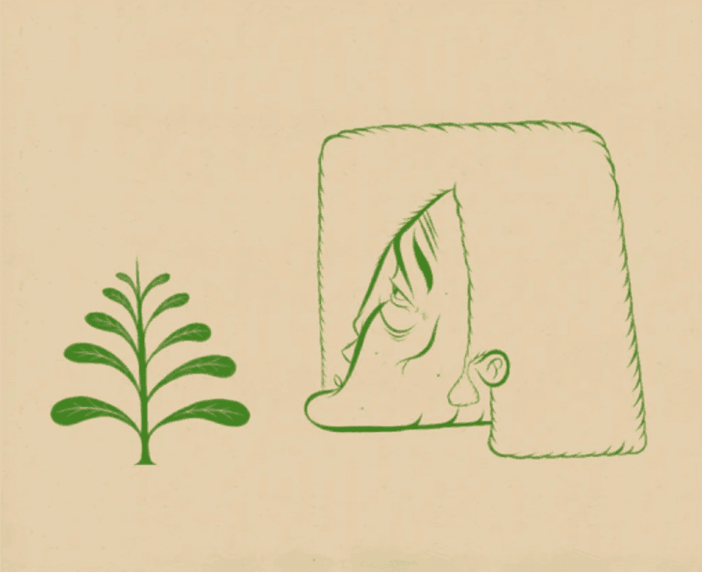 Artwork - Green Plant