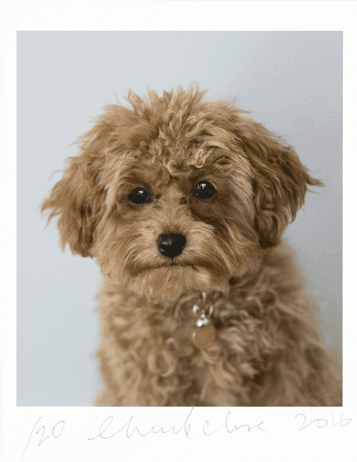 Artwork - Cinnamon