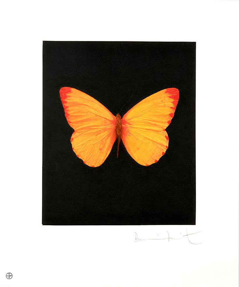 Artwork - Hope