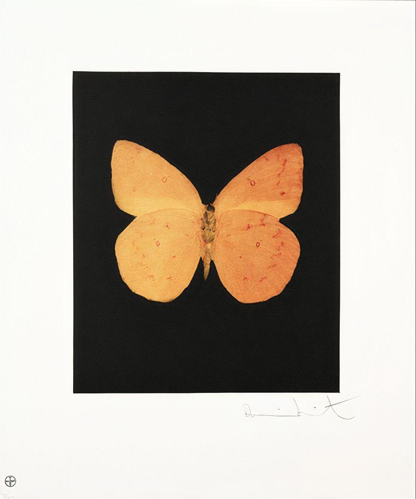 Artwork - Prosperity