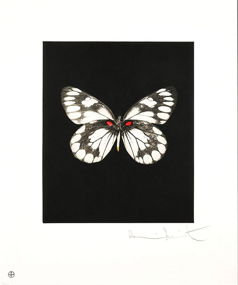 Artwork - Regeneration
