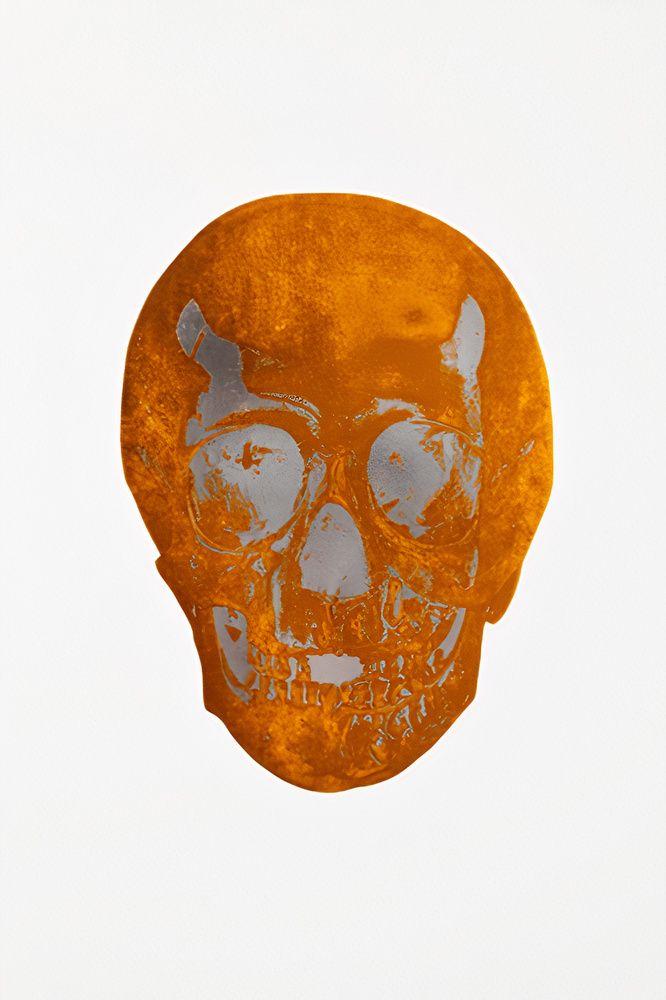 Artwork - The Dead (Island Copper Silver Gloss Skull)
