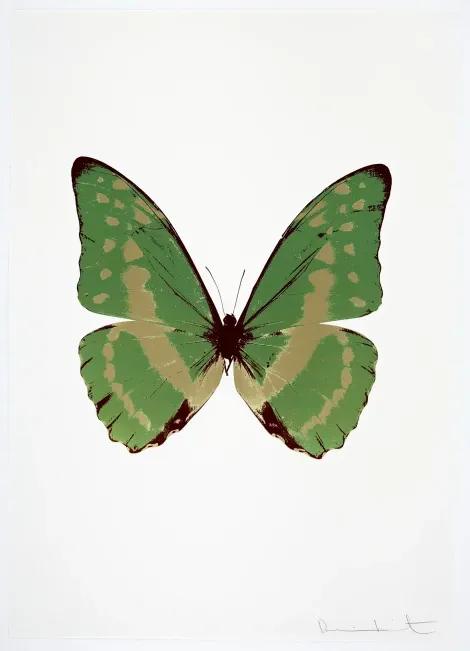 The Souls III - Leaf Green - Cool Gold - Burgundy
