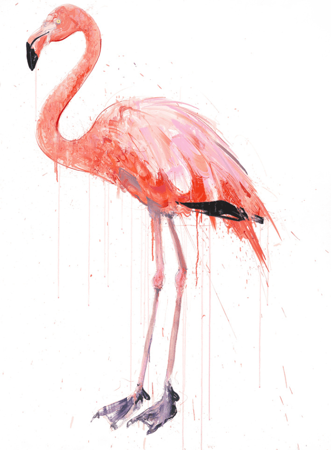 Artwork - Flamingo