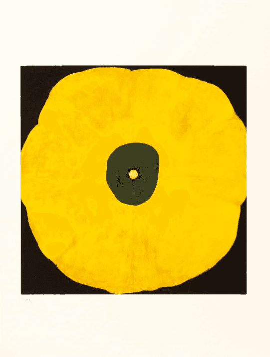 Untitled (Poppy Flower)