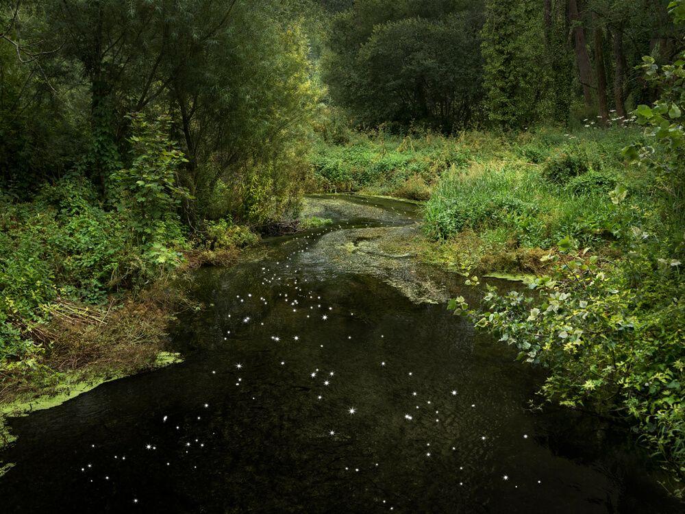 Artwork - Chalk Stream 10 (Large)