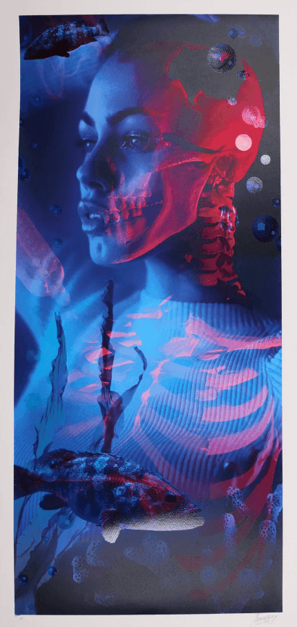Artwork - Harmony