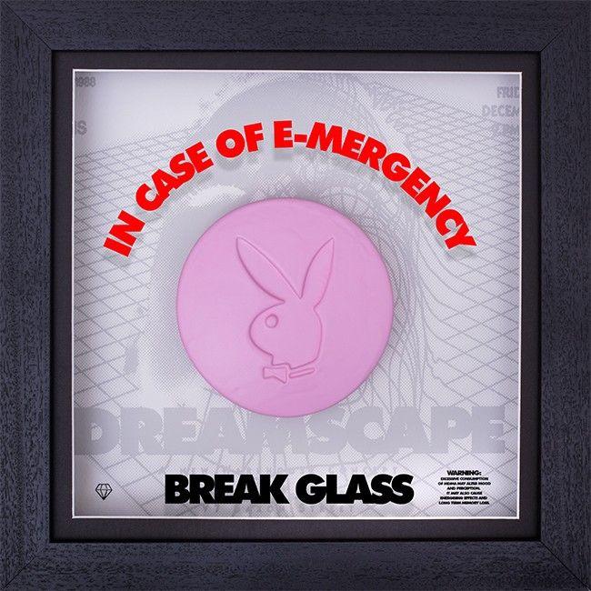 Artwork - Disco Biscuits (Playboy)