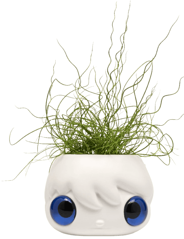 Artwork - Pop Top' Planter Pot (Blue Eyes)