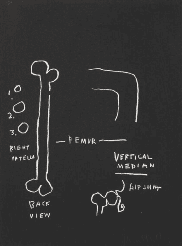 Artwork - Femur from the Anatomy Series