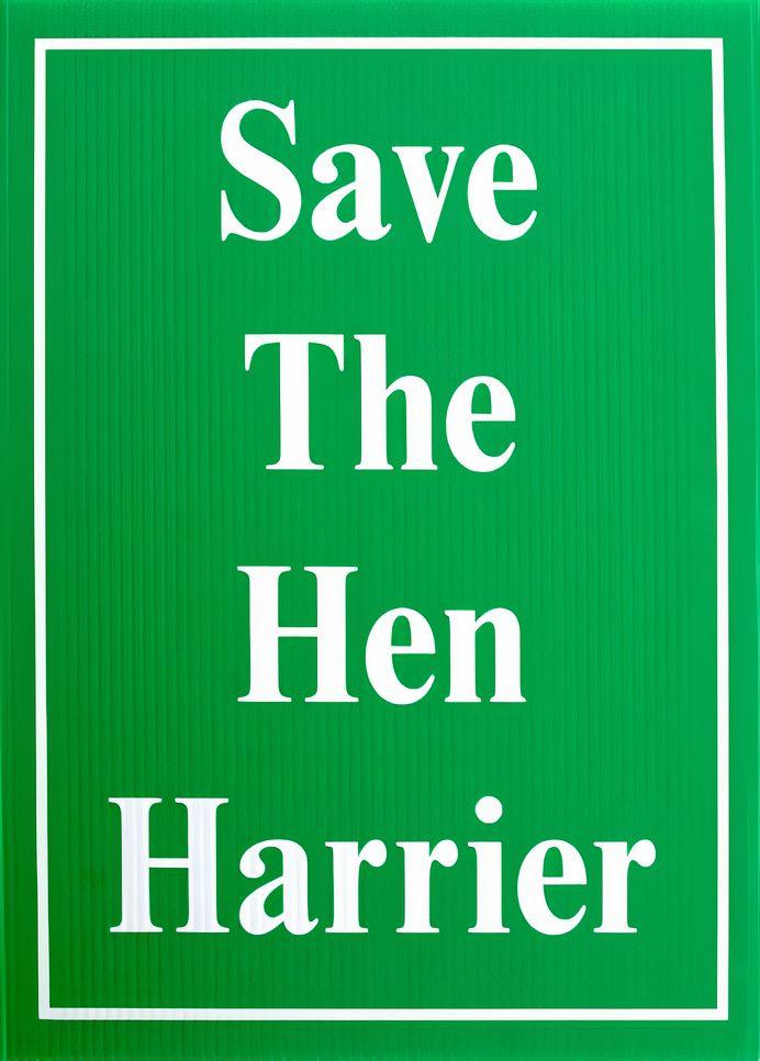 Artwork - Save The Hen Harrier