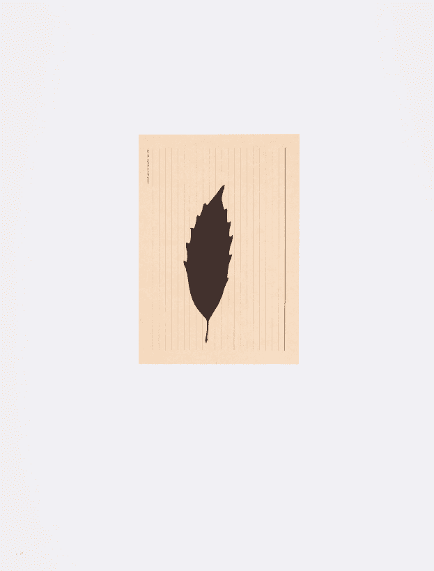 Artwork - Blatt auf Karteikarte
